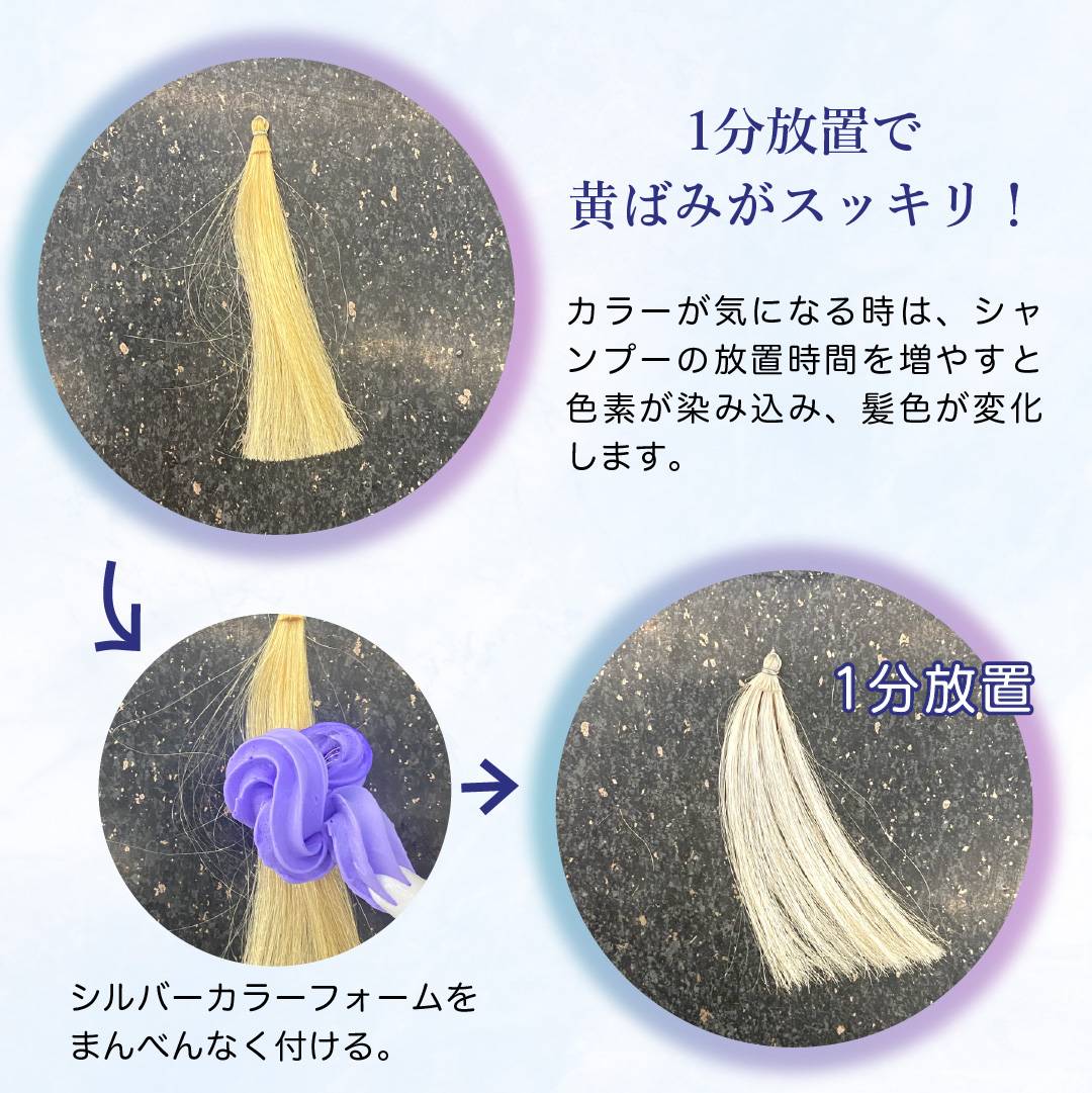 KYOGOKU シルバーカラーフォームコンディショナー 200g 炭酸 濃度10,000ppm カラーシャンプー カラートリートメント 人気ランキング ダメージケア (シルバー)