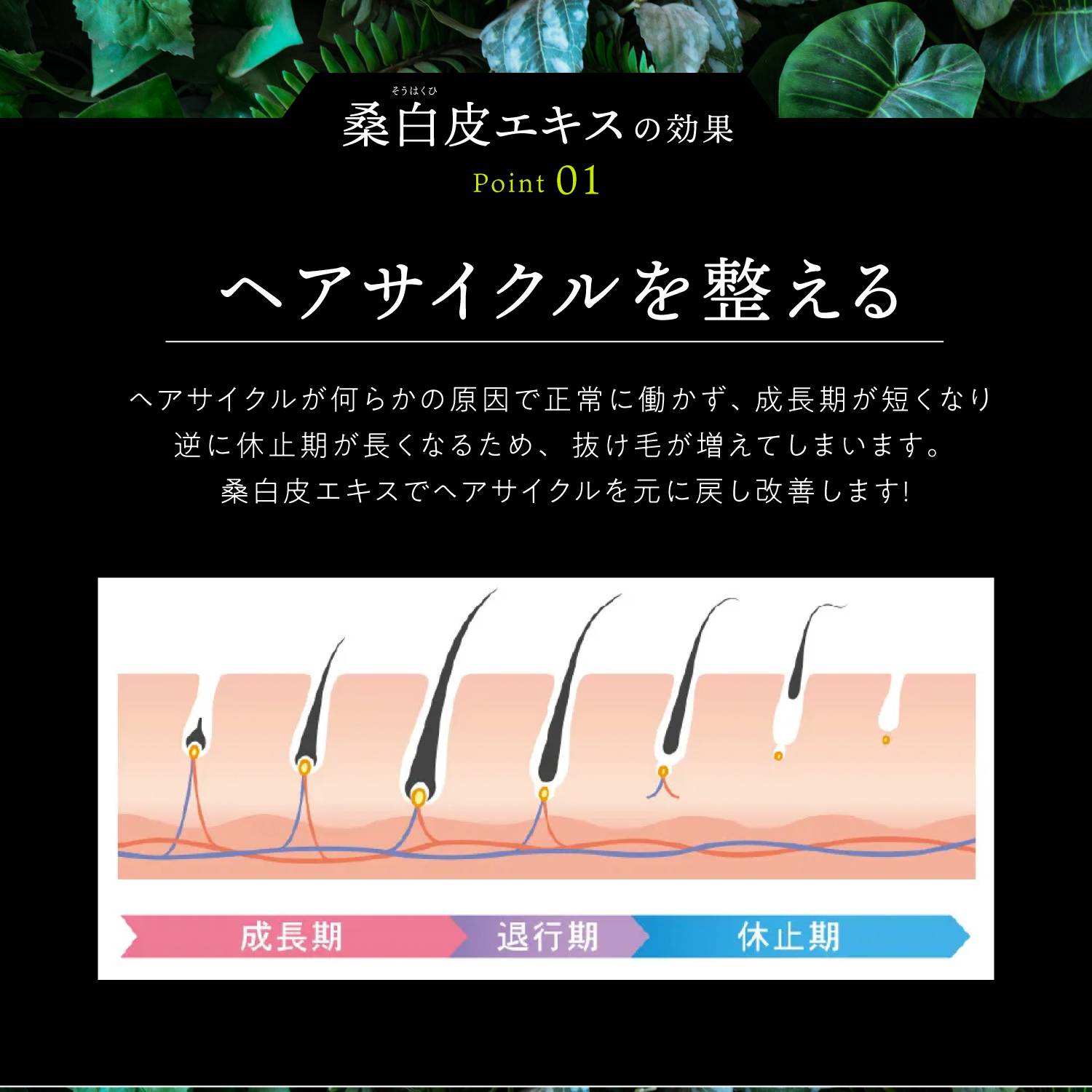 KYOGOKU ネイチャーブースター 育毛剤 医薬部外品 ヘアトニック 薬用育毛トニック 男女兼用 無添加 抜け毛予防