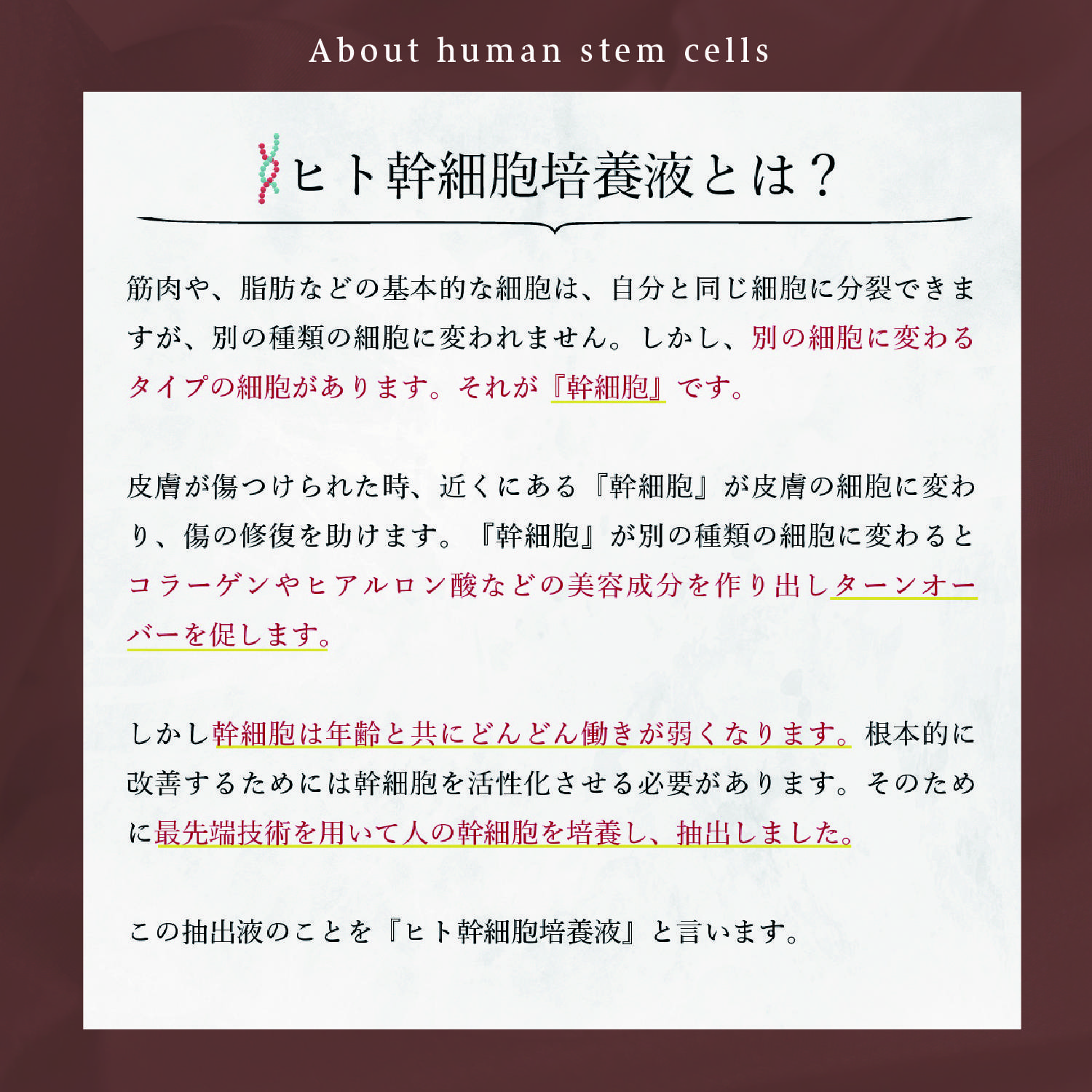 KYOGOKUシグネチャーシャンプー&トリートメント 各120ml