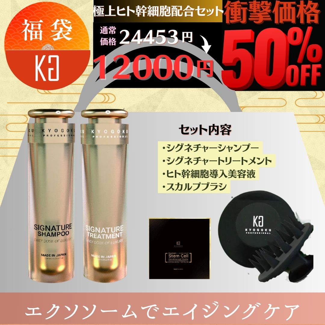 【ヒト幹細胞（エクソソーム）セット】シグネチャーシャンプー・シグネチャートリートメント・ヒト幹細胞導入美容液・スカルプブラシ