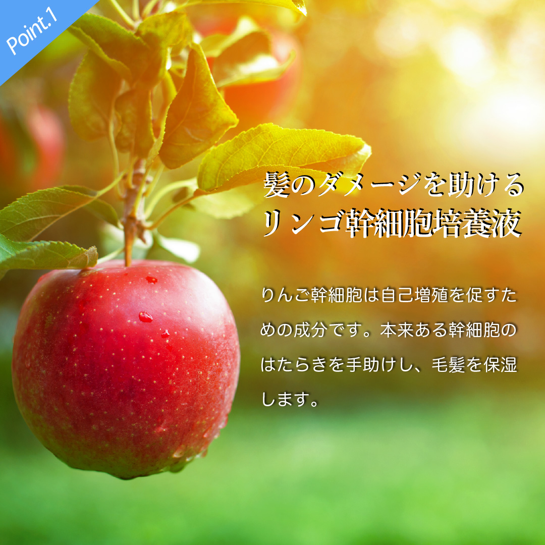 パーソナルカラーシャンプー アッシュグレー成分