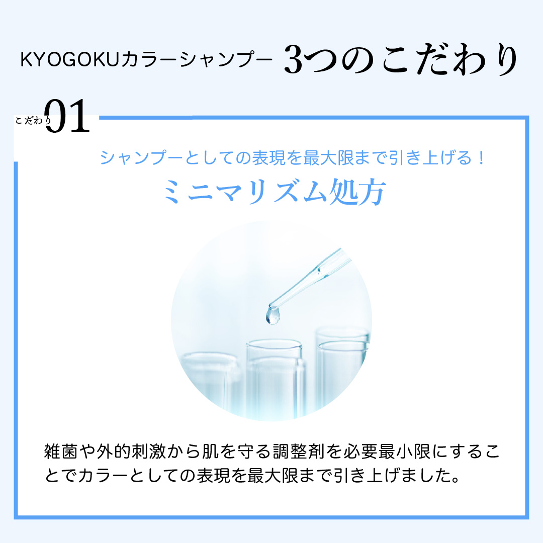 パーソナルカラーシャンプー アッシュグレーミニマニズム処方