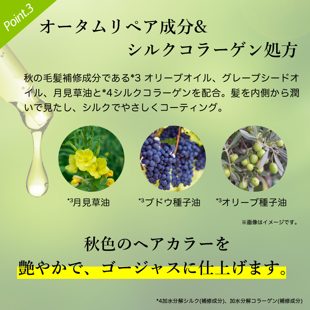 パーソナルカラーシャンプー オリーブアッシュで優しくケア