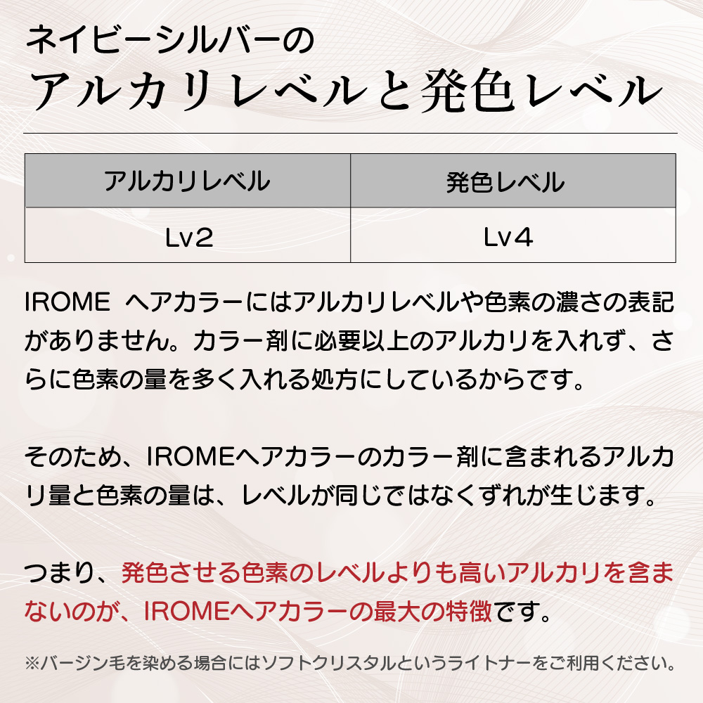 ネイビーシルバーレベル