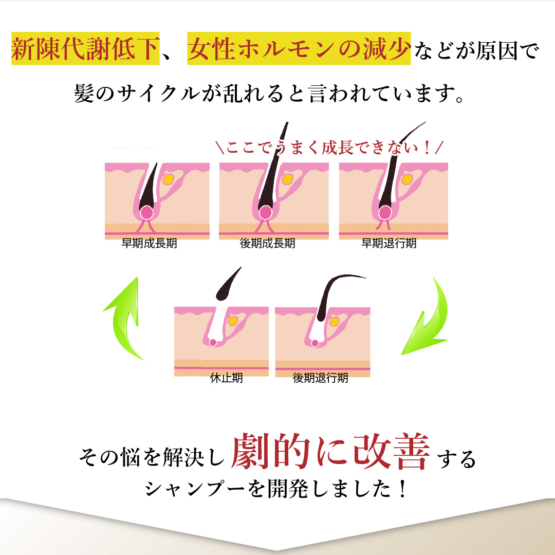 髪のサイクル