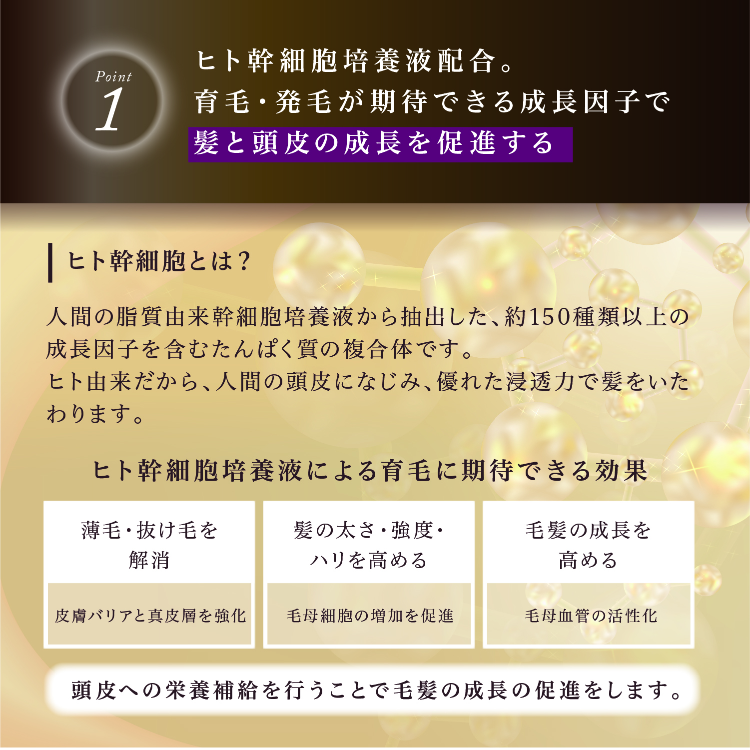 KYOGOKUシグネチャーシャンプー魅力1