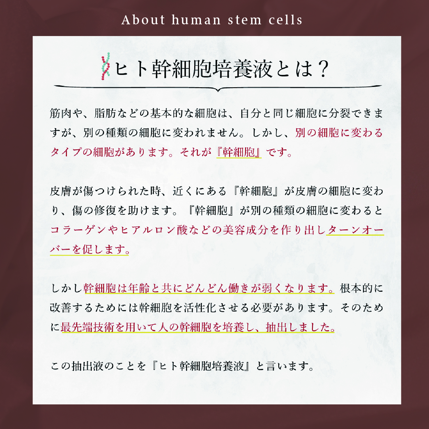 KYOGOKUシグネチャーシャンプーの中身