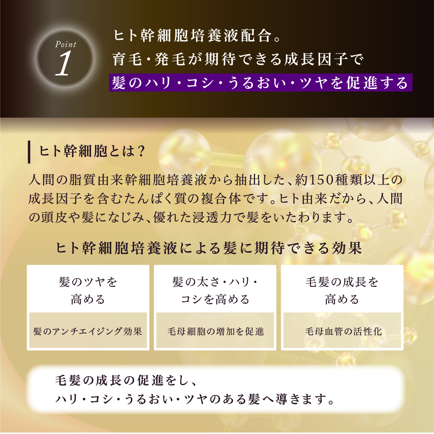 KYOGOKUシグネチャートリートメントの魅力1