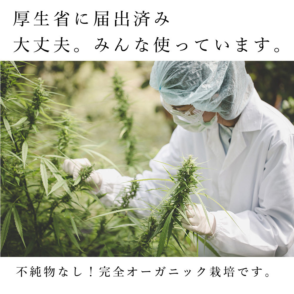 CBDグミ説明